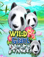 เว็บสล็อตแตกบ่อย ฝาก เล่น บา ค่า ร่า ช่วยคุณได้!